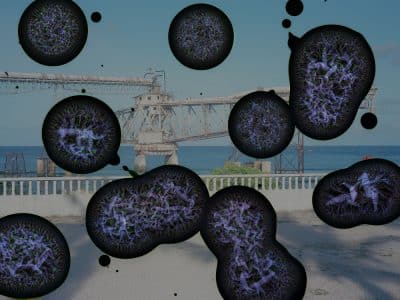 ©Pak Richard Cantilever I serie Lile naufragee 2022