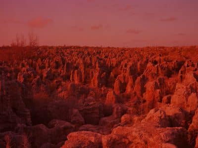 ©Pak Richard Topside III serie Lile naufragee 2022