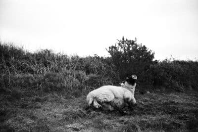 L’île d’Ouessant, la fin de la Terre, Jane Evelyn ATWOOD