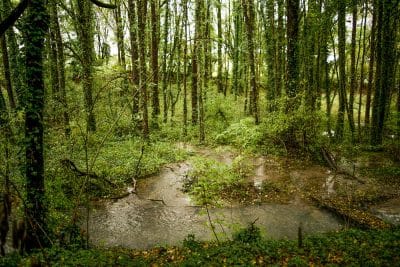 Sèvre / Mer © Emanuela Meloni