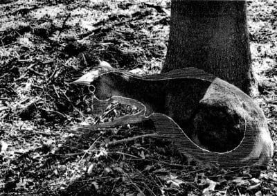 Série Massacres © Magali Lambert, 2014