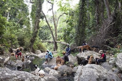 Maore 976 : portrait d’une jeunesse clandestine, Laura
HENNO