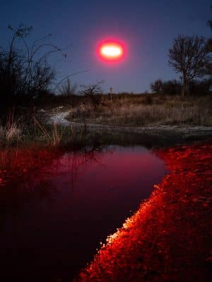 B0005294 10000pix Print 3000pix Print