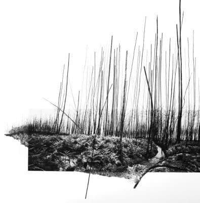 Traces de silence 2024 02