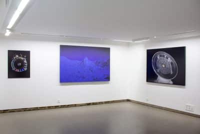 ©Julien Lombardi 01