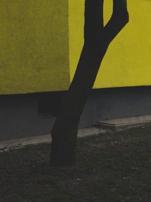 2 Le Temps de limmaturite©Nolwenn Brod